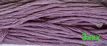 Purple Aster